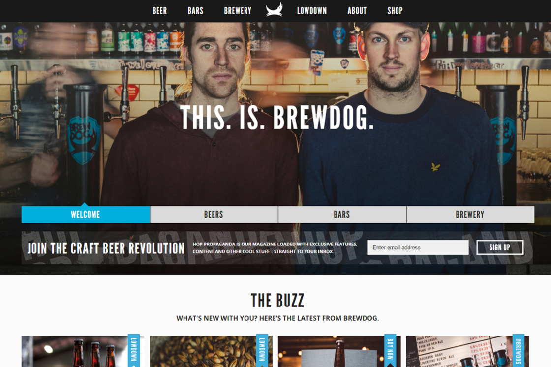 INTRODUCING OUR NEW WEBSITE