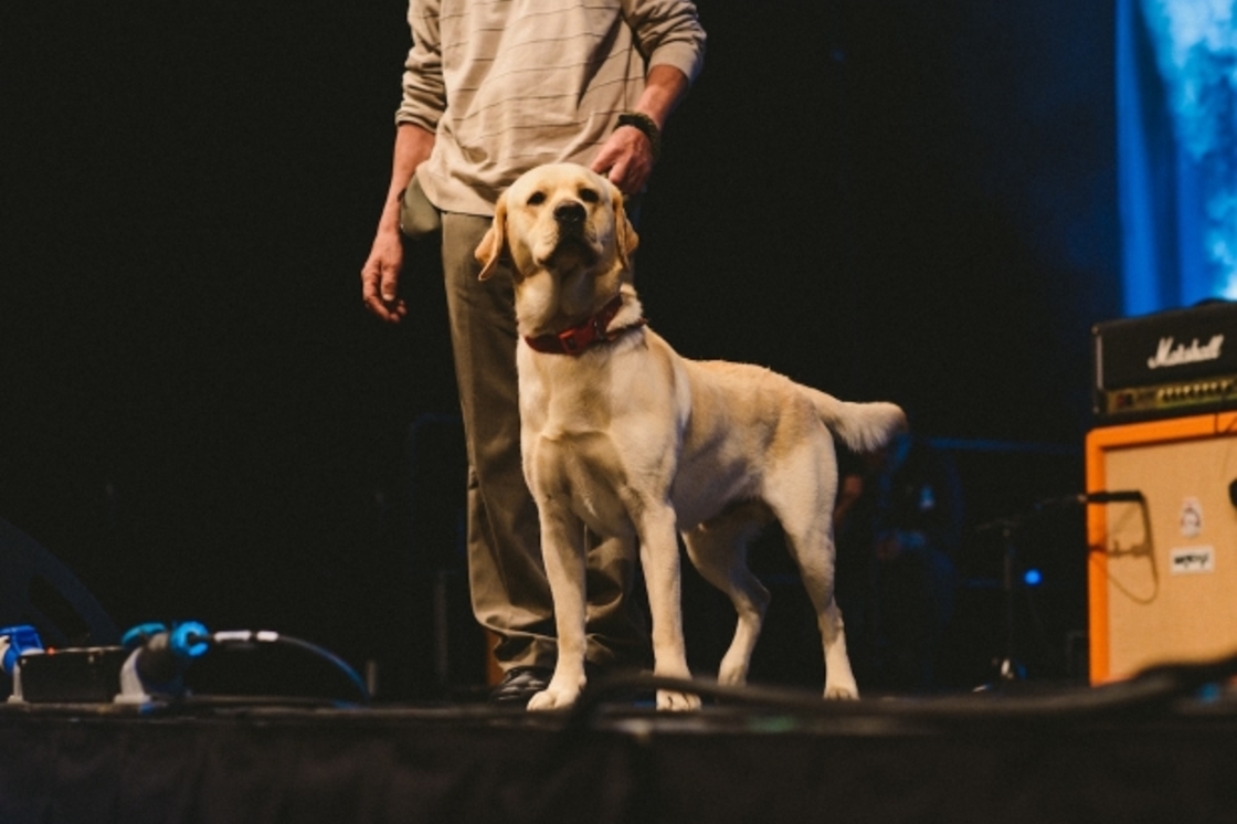SIMCOE