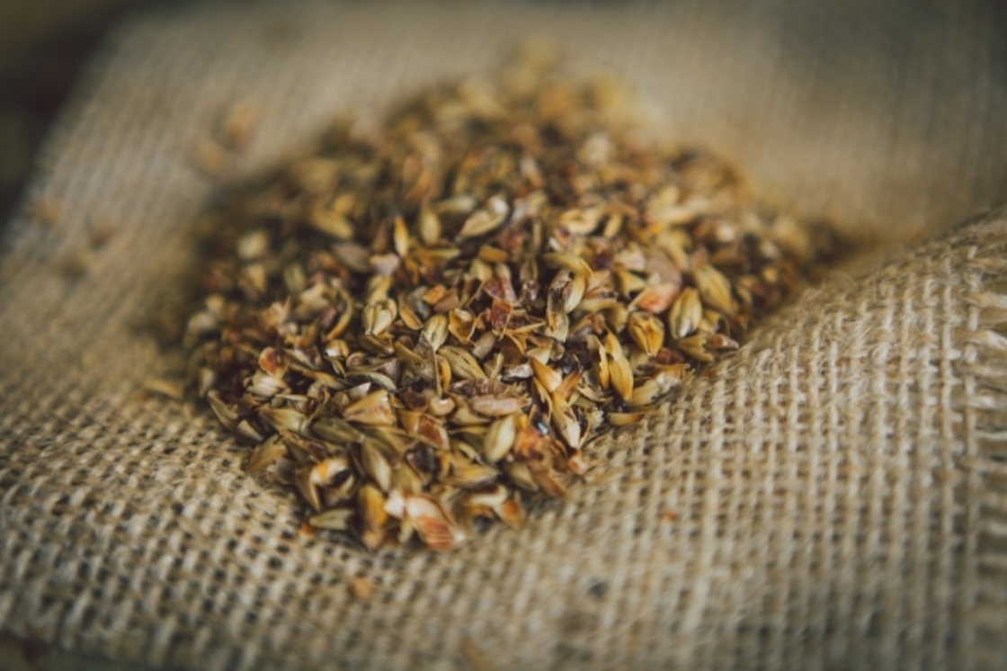 MALT VAULT; VIENNA & MUNICH MALTS