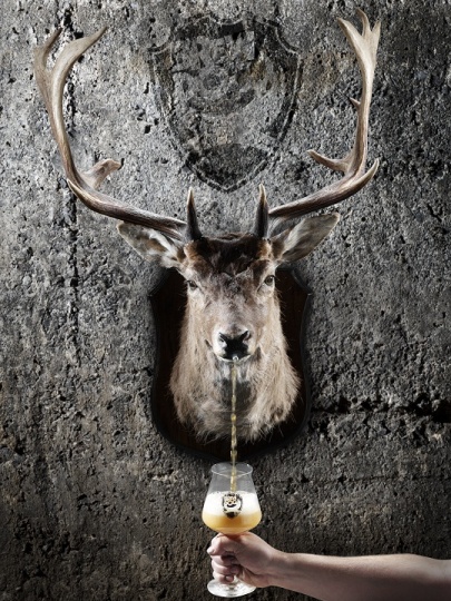 stag_logo-blog_540