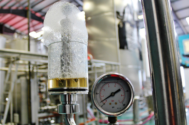 fermenting_blog_620
