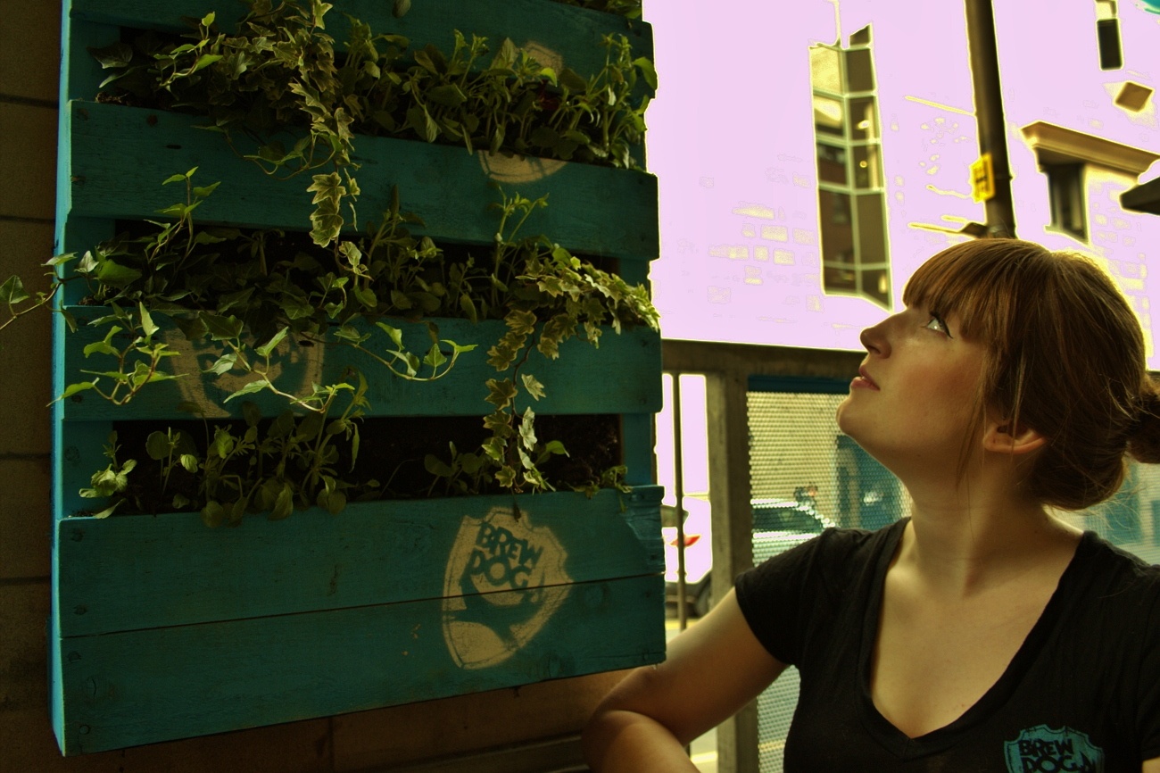 lynn_beer_garden_1300