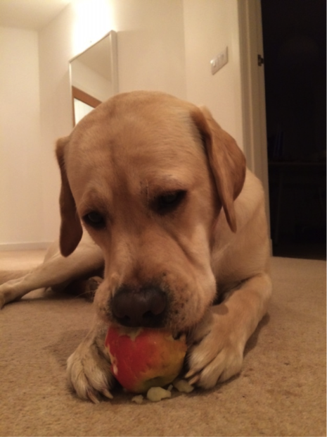 simcoe_apple_620